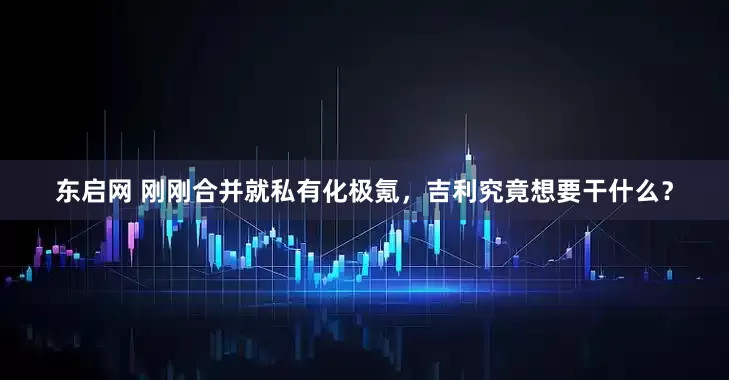 东启网 刚刚合并就私有化极氪，吉利究竟想要干什么？