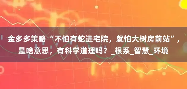 金多多策略 “不怕有蛇进宅院，就怕大树房前站”，是啥意思，有科学道理吗？_根系_智慧_环境