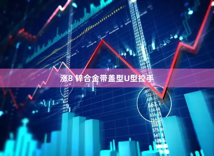 涨8 锌合金带盖型U型拉手